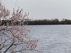 -颐和园