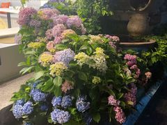 -名点荟·生日蛋糕·下午茶(五缘湾店)