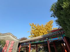 -有喜胶东小馆(太申祥和店)