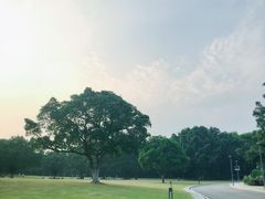 -东莞植物园