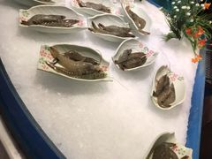 -阳光岛·海鲜盛宴(银泰中心in99店)