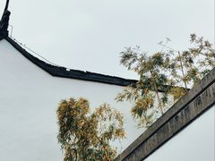 -苏州上方山国家森林公园