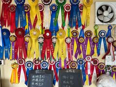 -柴犬高等学院·狗咖·柴犬售卖·宠物训练