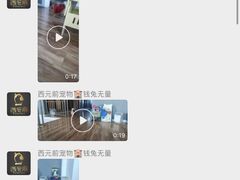 -西元前宠物酒店(郑庄府邸店)