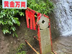 -青城山