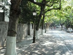 android_upload_pic-八大关景区