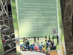 -乌村