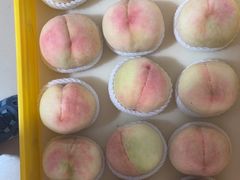 -老袁家蜜桃农场·阳山水蜜桃