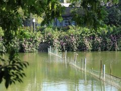 -包公祠