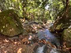 -梧桐山风景名胜区