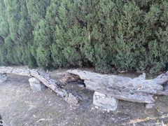 -金钉子远古世界景区