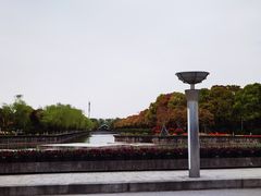 -上海鲜花港
