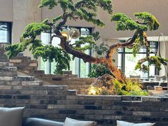 -四季民福烤鸭店(外滩外白渡桥店)