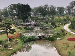 -东莞植物园