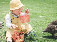 -前小桔亲子创意农场·草莓采摘·露营烧烤