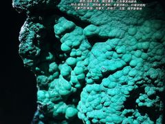 -深圳珠宝博物馆