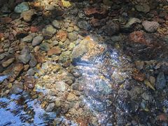 -龙苍沟森林公园