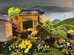 -杭州植物园