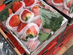-双福水果批发市场