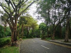 -深圳国际园林花卉博览园