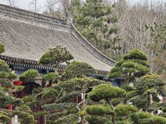 -大慈恩寺(大雁塔)