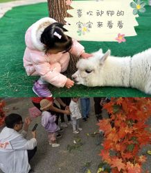 -萌宠亲子动物乐园(槐房万达店)