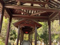 -八大山人梅湖景区