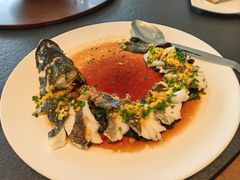 -三利音·浦之舟(滨江大道店)