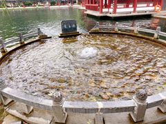 -百脉泉景区