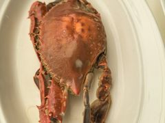 -莆鑫海鲜城(浏河店)