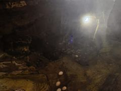 -天芳悦潭度假村温泉