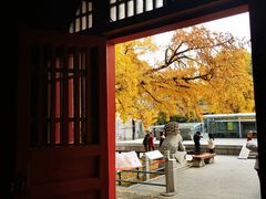 -北京石刻艺术博物馆(五塔寺)
