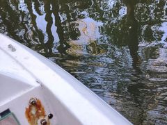 -上海滨江森林公园