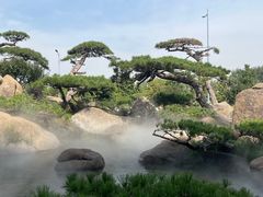 -罗红摄影艺术馆