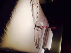 环球恐龙城维景国际大酒店-常州环球恐龙城维景国际大酒店