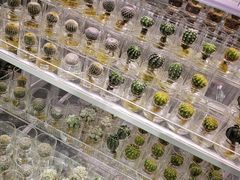 -KKV(深圳宏发大仟里店)