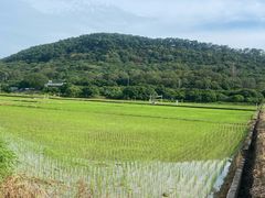 -风云岭森林公园