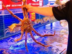 -驻海渔市(置信店)