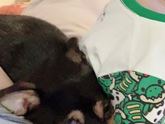 -小米之家(世博源店)