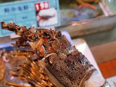 小青龙-琼菜王(南海店)