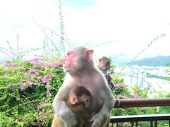 -鹿回头风景区