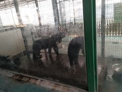 -泉州海丝野生动物世界