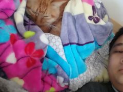 -北京恒爱动物医院(清景园分院)