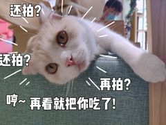 -藏猫猫咖啡主题馆(中央大道店)