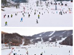 -中旅松花湖滑雪场