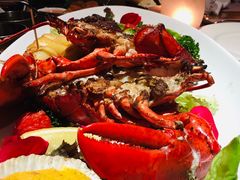 -SHARK鲨鱼餐吧(购物公园店)
