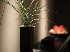 -见山茶事(丽水路店)