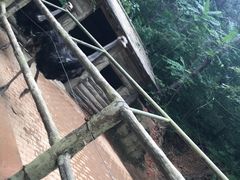 -燕塞湖鸟语林景区