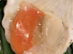 烤生蚝-鸽子窝(青塔店)