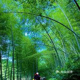 简直超越了我的极限